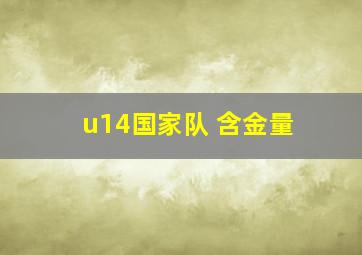 u14国家队 含金量